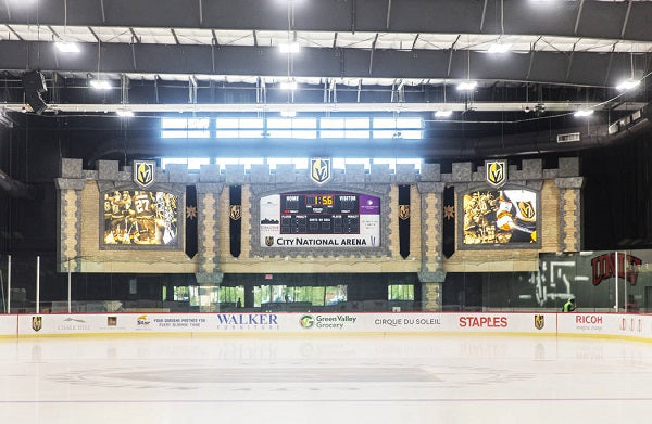 A Proposal For Possible NHL Stanley Cup Playoffs, But Without Fans