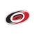 Carolina Hurricanes Team Logo Collector Pin