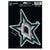 Dallas Stars Shimmer Decal, 5x7 Inch