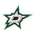 Dallas Stars Team Logo Collector Pin