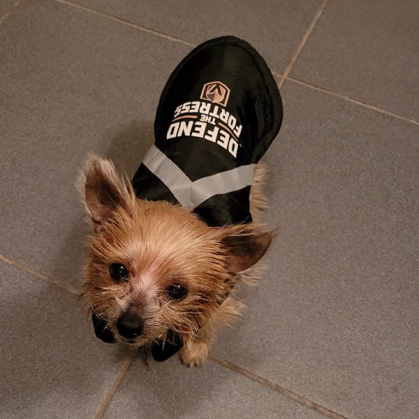 WineyBitches.Co (Blinged) LAS VEGAS GOLDEN KNIGHTS DOG JERSEY